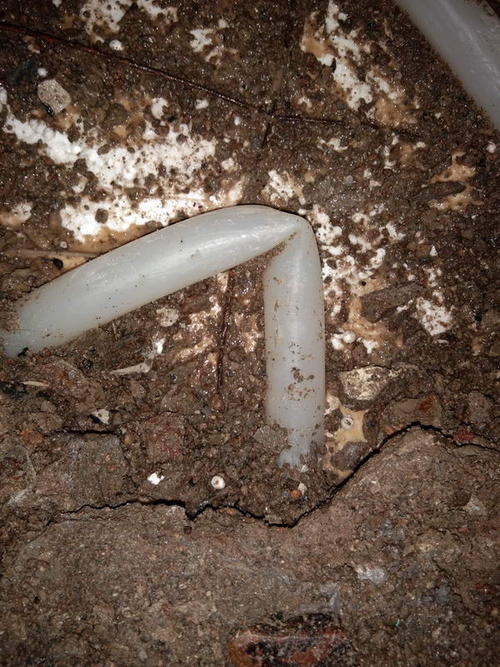 射洪堵点精准查找